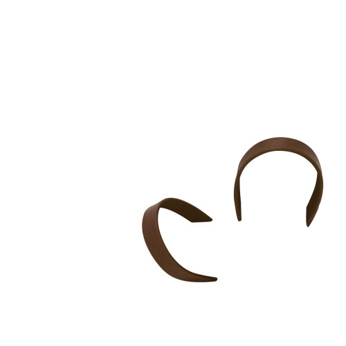 Tiras